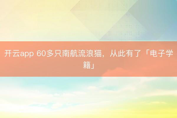 開(kāi)云app 60多只南航流浪貓，從此有了「電子學(xué)籍」