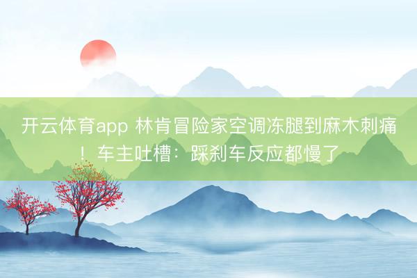 開云體育app 林肯冒險家空調凍腿到麻木刺痛！車主吐槽：踩剎車反應都慢了